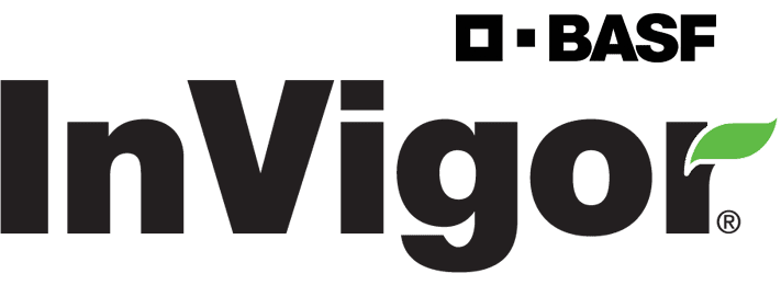 A green background with the word " vigee ".