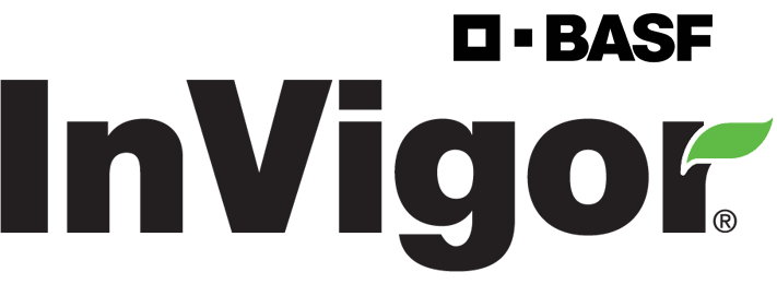 A green background with the word " vigee ".